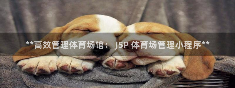 Bsport体育ap