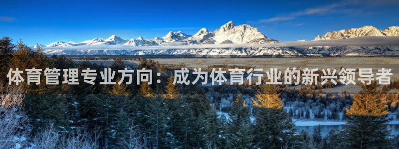 必一运动 b 体育素