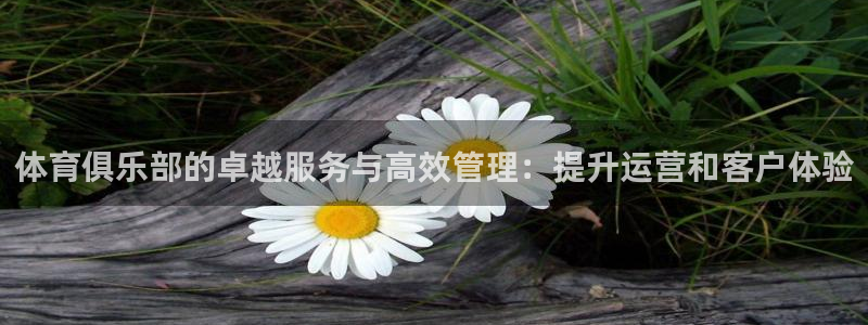 必一体育下载义：体育