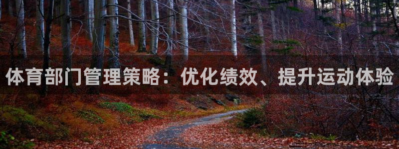 必一体育官方网站入口