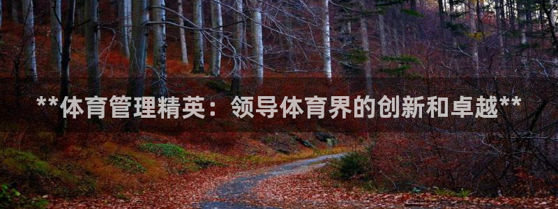必一体育验证码：**