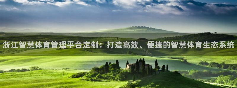 必一运动体：浙江智慧
