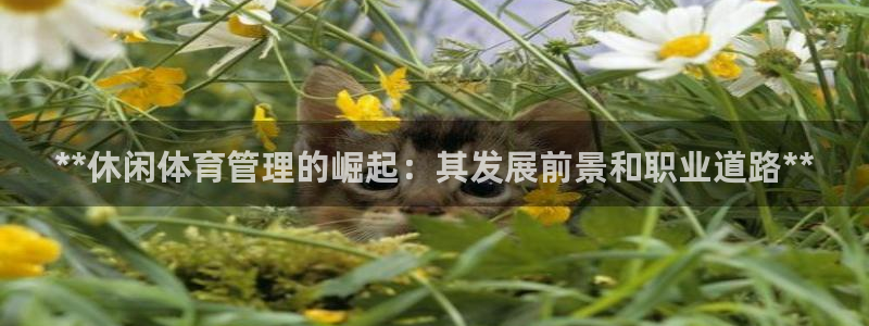 必一运动体：**休闲