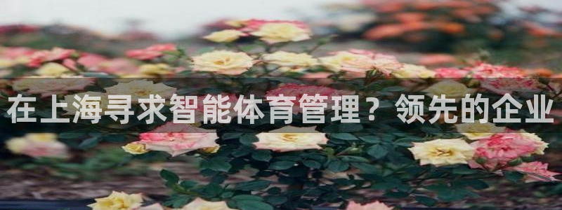 必一体育周公：在上海