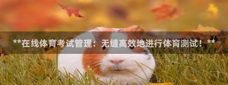 必一运动听的歌：**