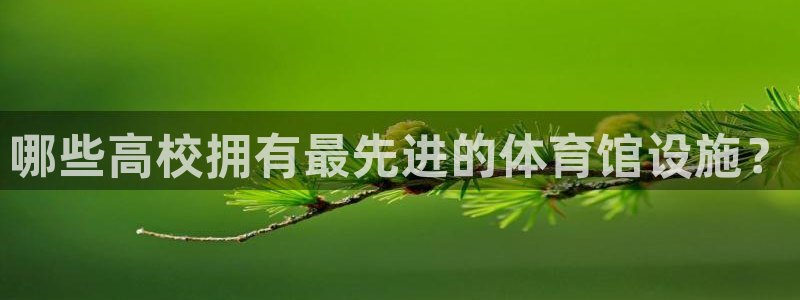 必一运动·(B-sp