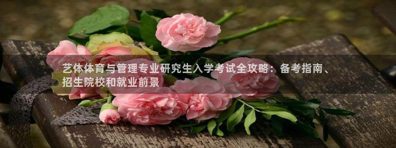 必一体育运动app下