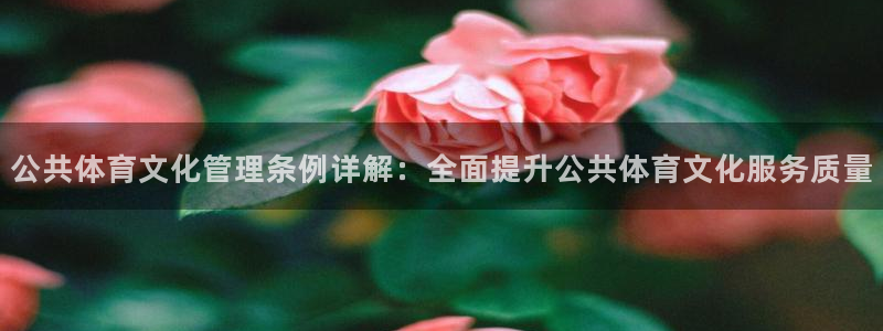必一运动官网平台：公
