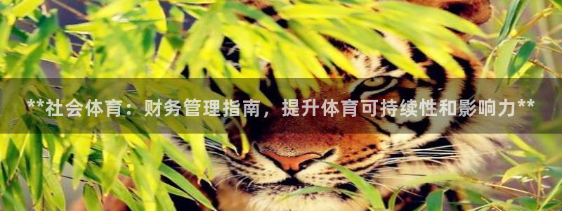 必一体育app官方网