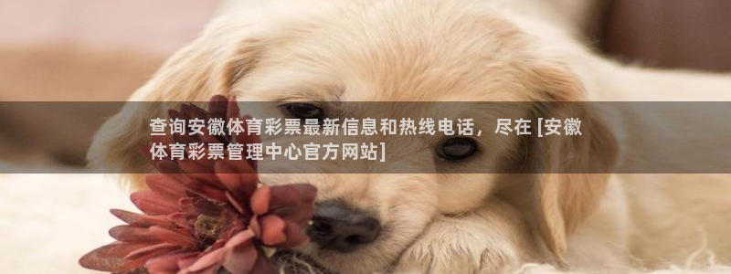 必一运动听的歌：查询