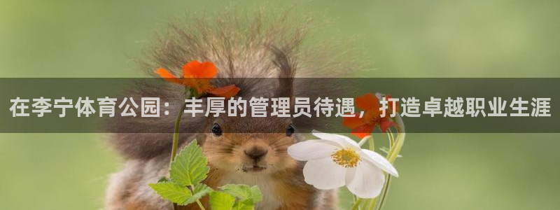 必一运动：在李宁体育