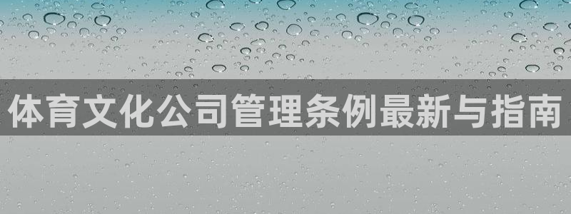 必一体育sport装机吧：体育文化公司管理条例最新与指南