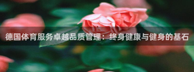 必一运动体育app：