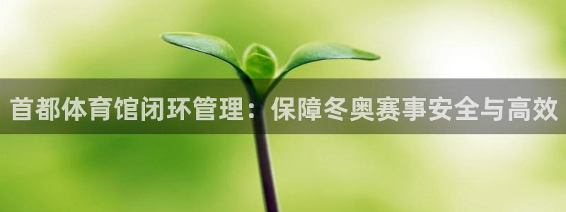 必一体育官方app下