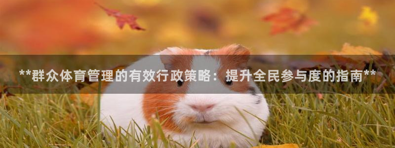 必一体育官方下载：*