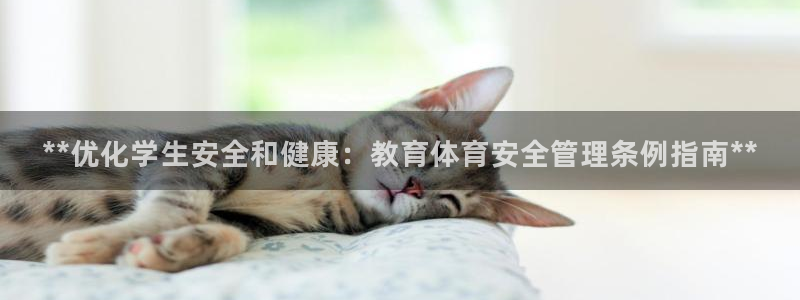 必一体育下载app：