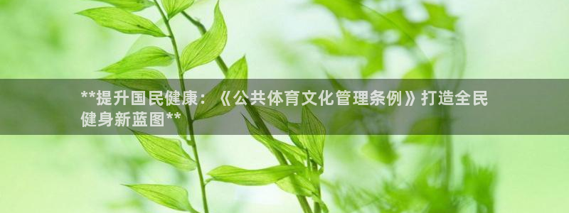 必一体育没了：**提
