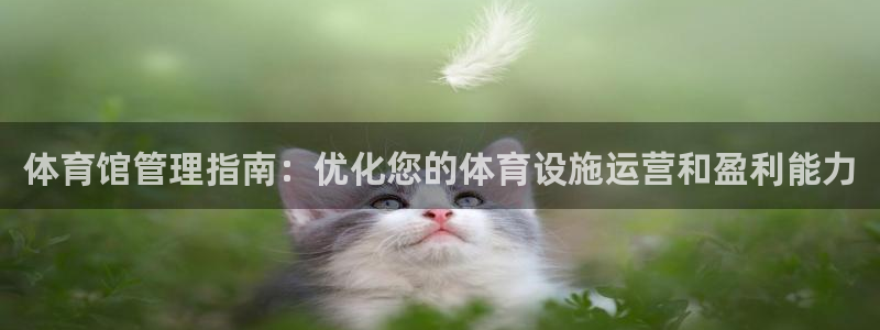 必一运动官网入口：体
