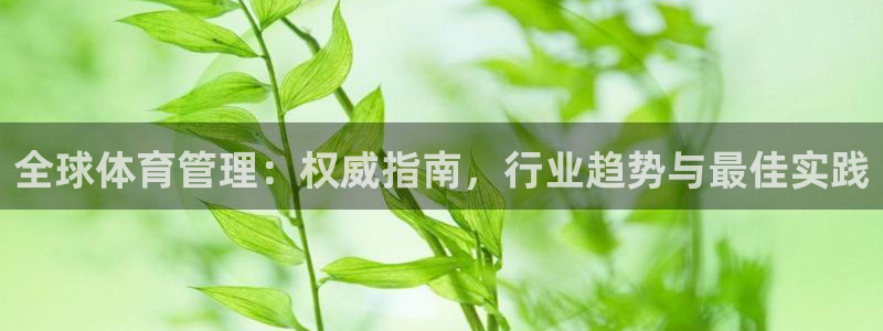 必一运动体育：全球体