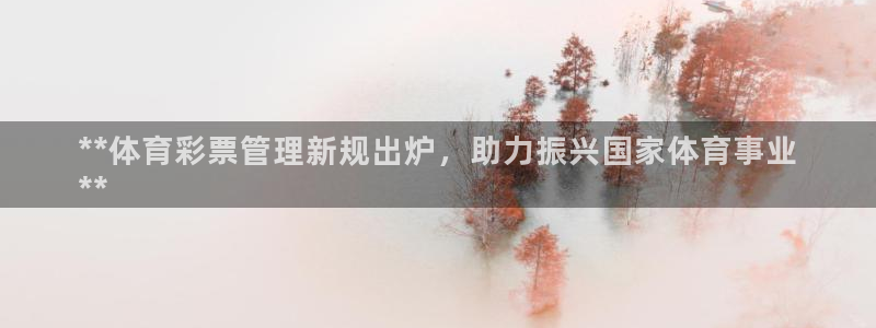 必一体育手机下载：*