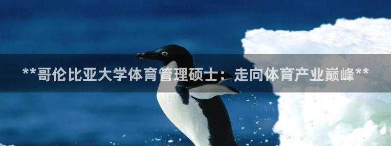 必一体育app官方下