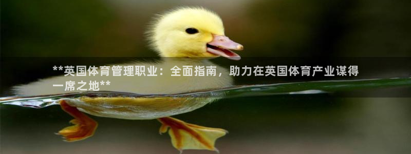 必一运动·(b-sp