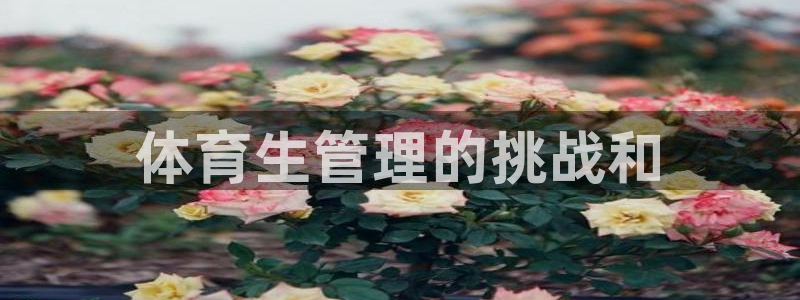 必一体育bsport