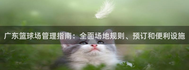 必一体育sport：