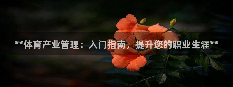 必一体育APP下载安