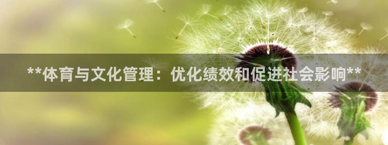 必一体育游戏玩法：*