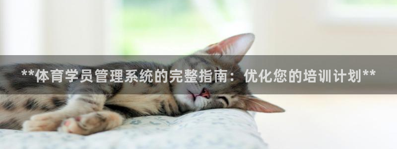必一体育黑钱：**体