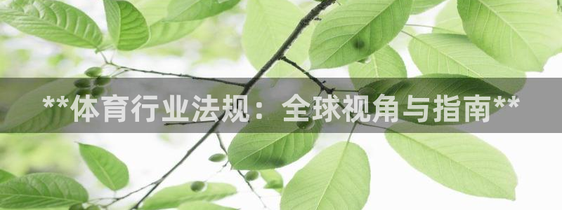 必一体育app官方下