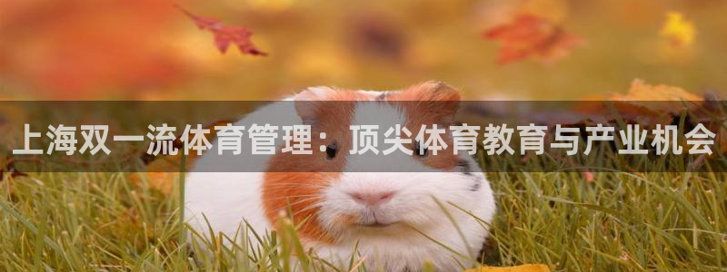 必一体育官方下载入口