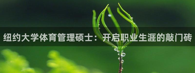 必一体育网站：纽约大