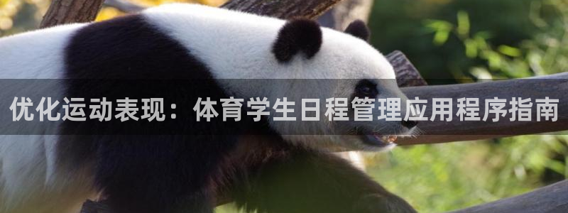 必一运动 b 体育素