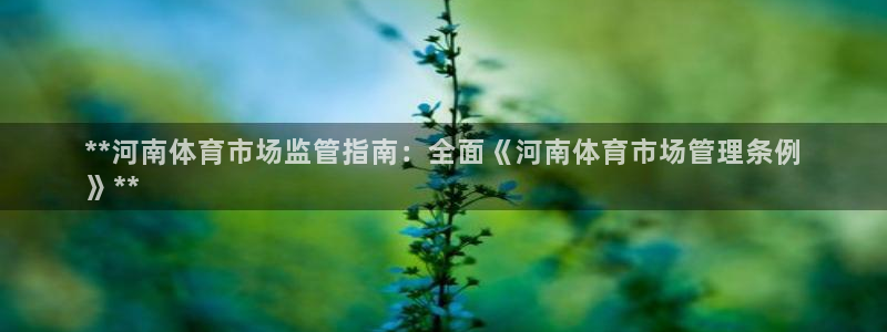 必一体育bsport