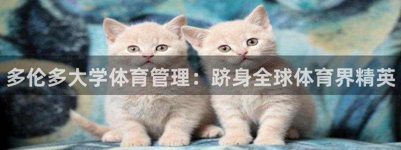 必一运动 b 体育素