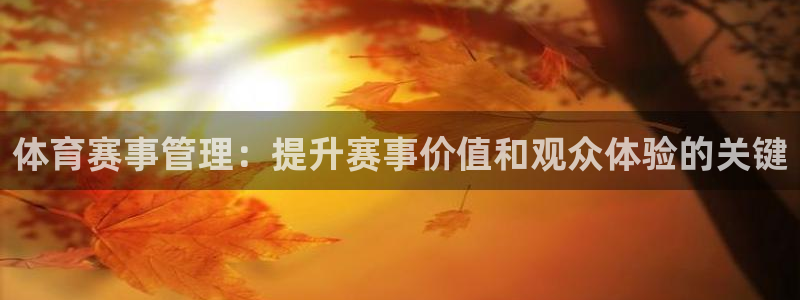 必一体育服下载最新版