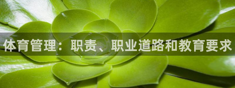 必一运动·体育：体育管理：职责、职业道路和教育要求
