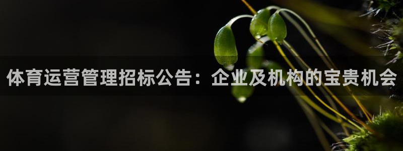 必一运动体：体育运营