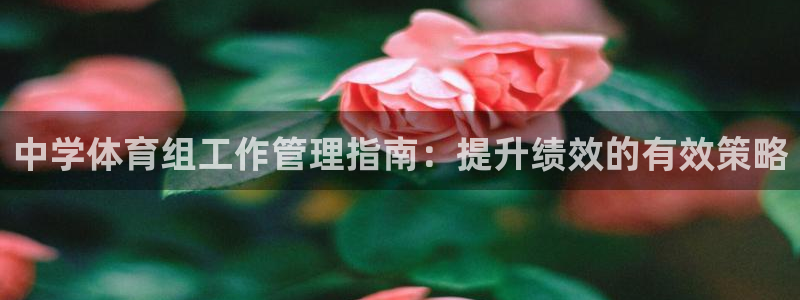 必一运动bsport