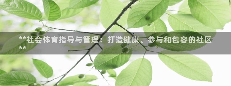 必一体育bsport