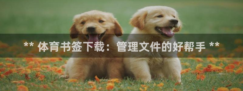 必一体育app下载：