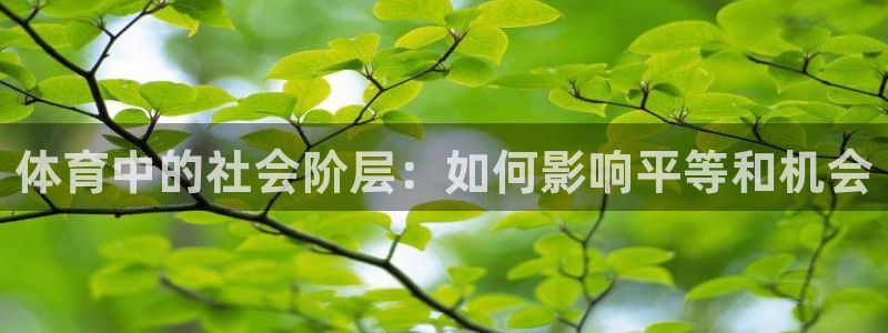 必一体育app下载：