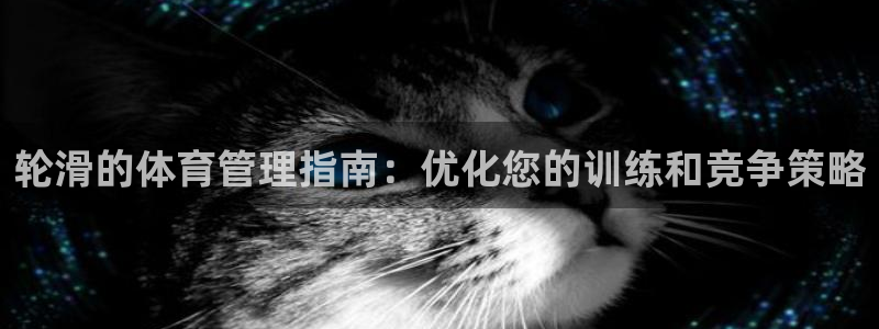 必一体育服下载最新版