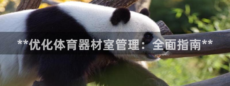 必一运动体育：**优