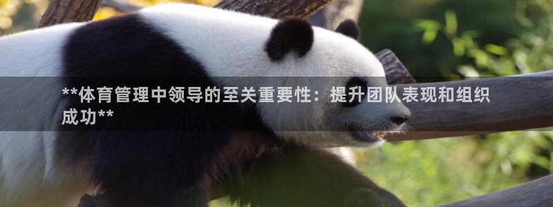 必一体育app官方下载：**体育管理中领导的至关重要性：提升