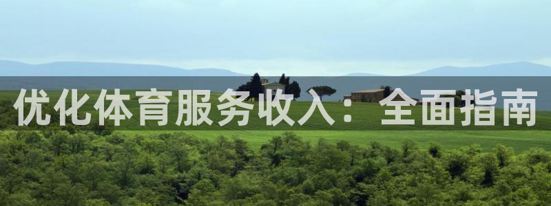 必一体育下载入口：优化体育服务收入：全面指南
