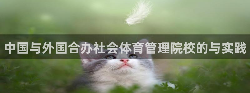 必一运动bsport