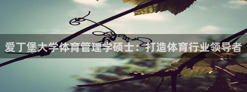 必一体育app下载最